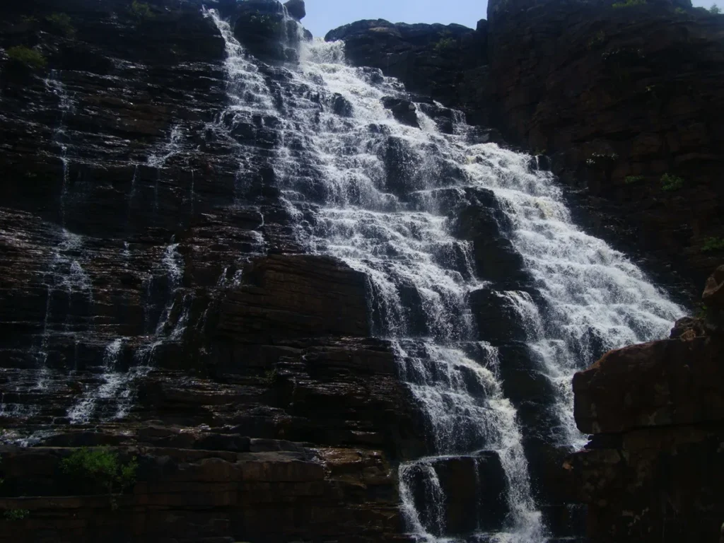 छत्तीसगढ़ में कांगेर घाटी (Kanger Valley) राष्ट्रीय उद्यान के समृद्ध जंगल की खोज तीरथगढ जलप्रपात Image
