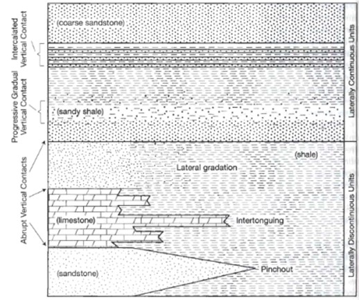 Principles of stratigraphy: Definition, Principle, Types