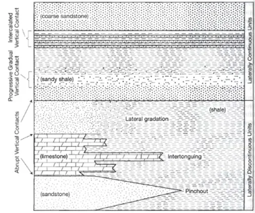 Principles of stratigraphy: Definition, Principle, Types Principles of stratigraphy: Definition, Principle, Types