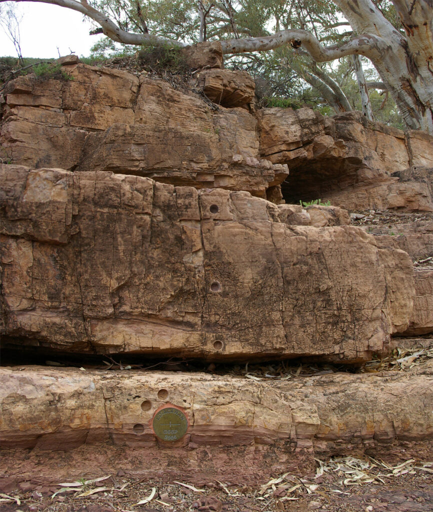 The 'golden spike' (bronze disk in the lowersection of the image) or 'type section' of the Global Boundary Stratotype Section and Point (GSSP) for the base of Ediacaran period (Ediacara, South Australia)