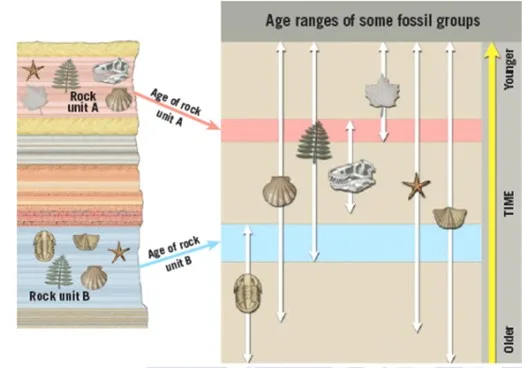 Principles of stratigraphy: Definition, Principle, Types Principles of stratigraphy: Definition, Principle, Types