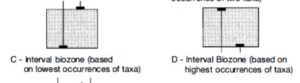 Comprehensive Guide to Biostratigraphy: Principles, Index Fossils, and Stratigraphic Classification for Geological Studies