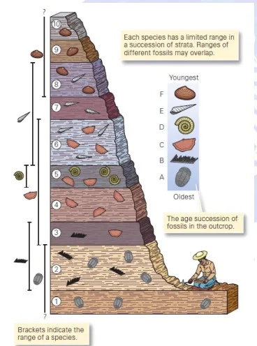 Principles of stratigraphy: Definition, Principle, Types Principles of stratigraphy: Definition, Principle, Types