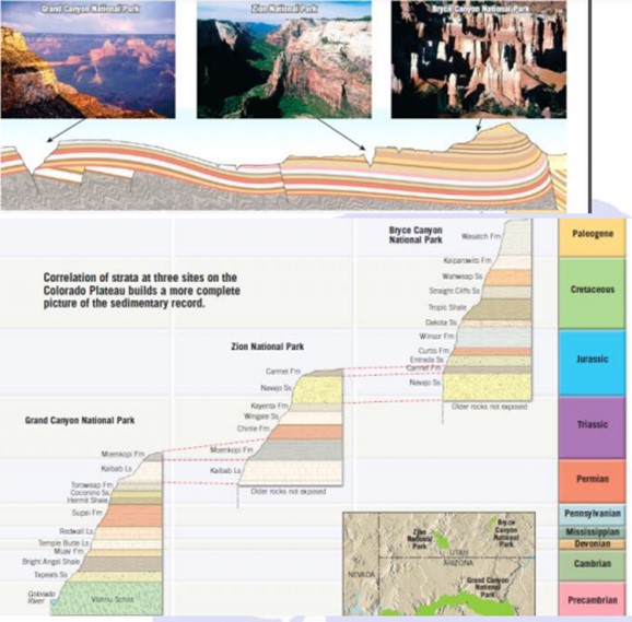 Principles of stratigraphy: Definition, Principle, Types