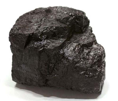 Theories of Coal Formation​​ and Their Evidence