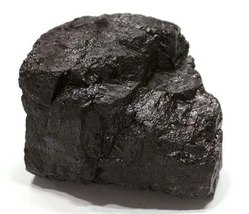 Theories of Coal Formation and Their Evidence 1 Theories of Coal Formation and their Evidence