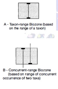 Comprehensive Guide to Biostratigraphy: Principles, Index Fossils, and Stratigraphic Classification for Geological Studies