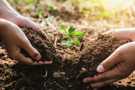 Eco-Friendly Technologies for Better Soil Health and Conservation