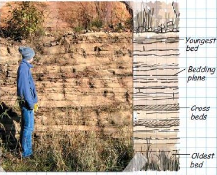 Principles of stratigraphy: Definition, Principle, Types