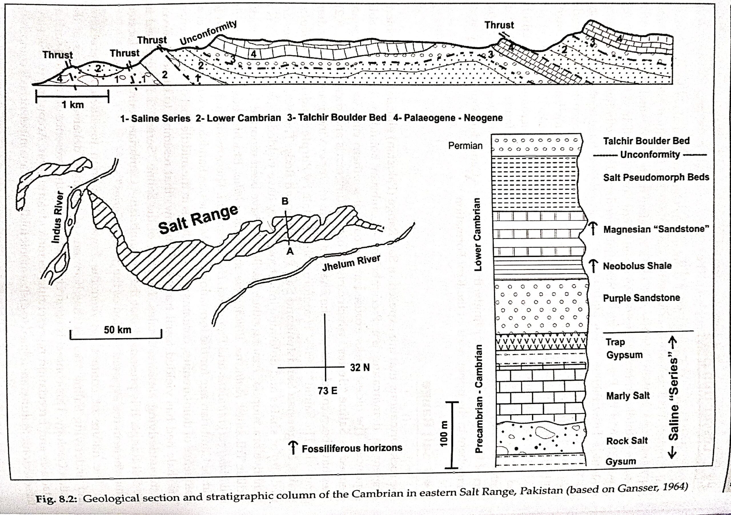 geological section and stratigraphic column of the cambrian in eastern salt range