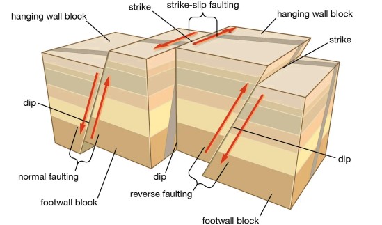 Endogenetic Forces and Their Impact on Earth's Landforms