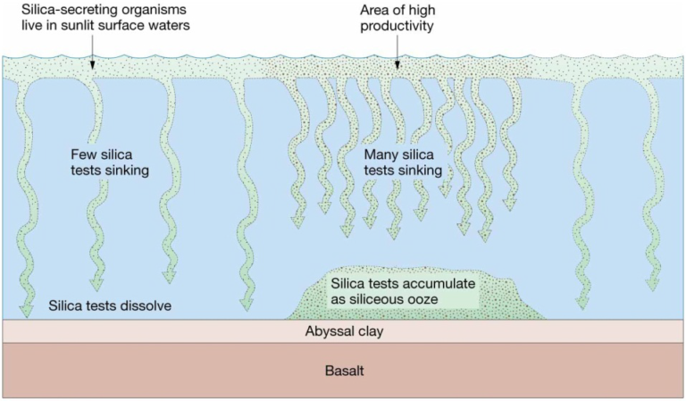 Chapter 4 Marine Sediments - StudyHUB