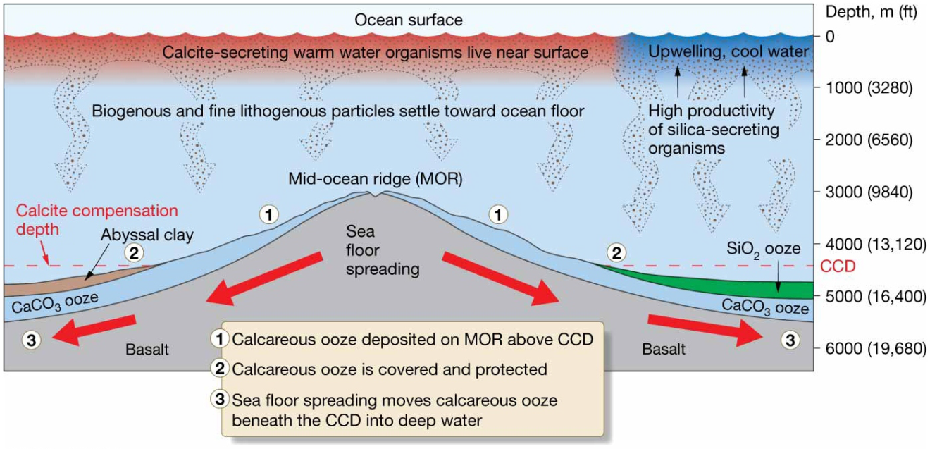 Chapter 4 Marine Sediments - StudyHUB