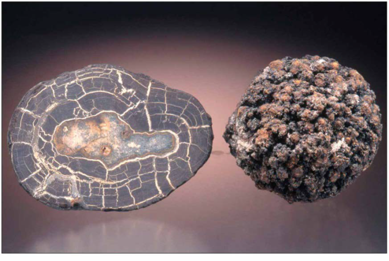 Chapter 4 Marine Sediments - StudyHUB