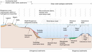 Chapter 4 Marine Sediments - StudyHUB
