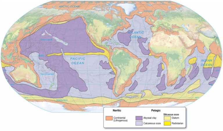 Chapter 4 Marine Sediments - StudyHUB