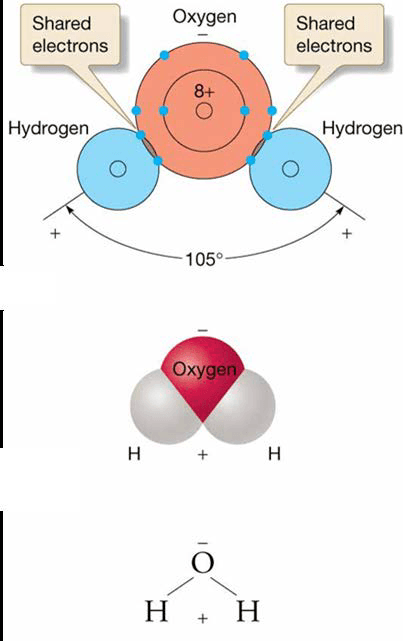 Chapter 5 Water and Seawater Representations of the water molecule.