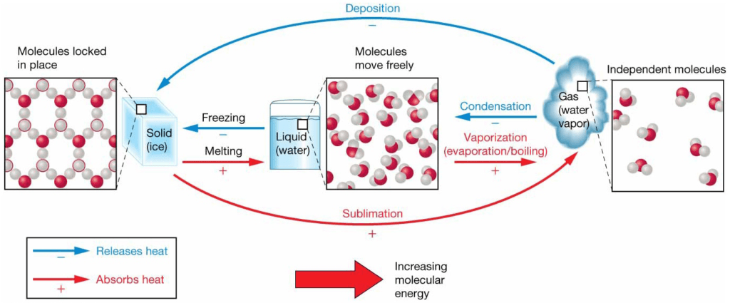 Chapter 5 Water and Seawater Water in the three states of matter: solid, liquid,
and gas. Diagram showing the three states of matter in which
water is found on Earth and the processes associated with
changes from one state to another.