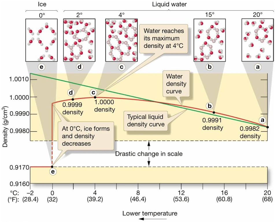 Chapter 5 Water and Seawater Water density as a function of temperature and the formation of
ice. Curves showing the density of freshwater (red curve) as it freezes (right to left) and the
density of a typical liquid (green curve). Molecular insets show density at various stages