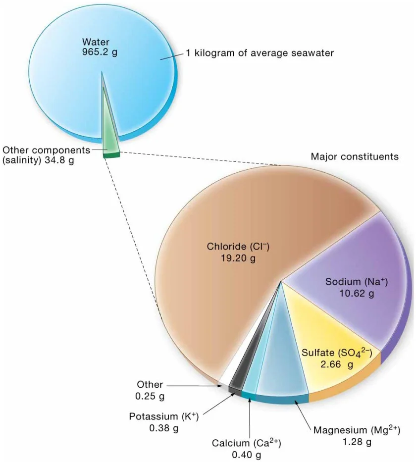 Chapter 5 Water and Seawater Major dissolved components in seawater.
Diagrammatic representation of the most abundant components
in a kilogram of 35‰ salinity seawater. Constituents are listed in
grams per kilogram, which is equivalent to parts per thousand (‰).