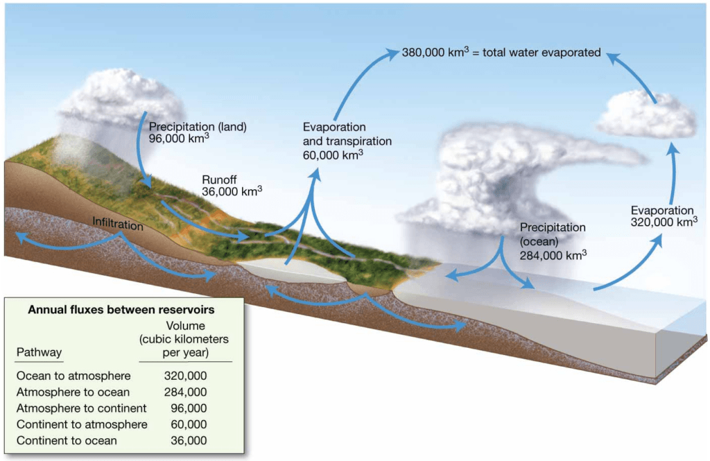 Chapter 5 Water and Seawater The hydrologic cycle. Diagrammatic view of Earth’s
hydrologic cycle. Numbers represent Earth’s average yearly flux
(volume of water moved between reservoirs) in cubic kilometers.
Left table shows average yearly flux between reservoirs