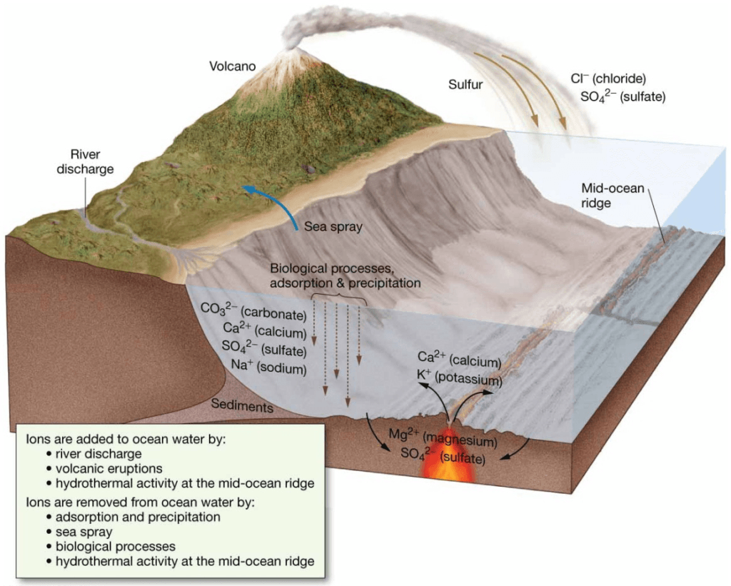 Chapter 5 Water and Seawater The cycling of dissolved components
in seawater.