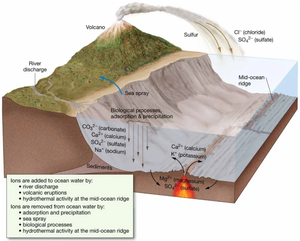 Chapter 5 Water and Seawater The cycling of dissolved components
in seawater.