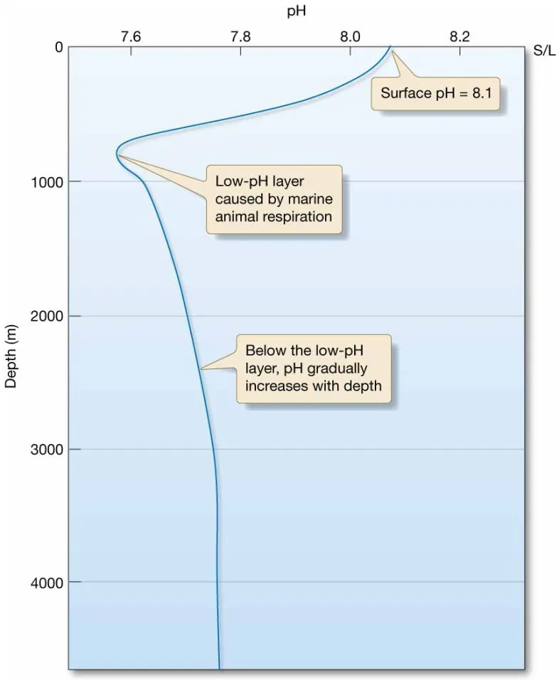 Chapter 5 Water and Seawater Seawater pH varies with ocean depth.