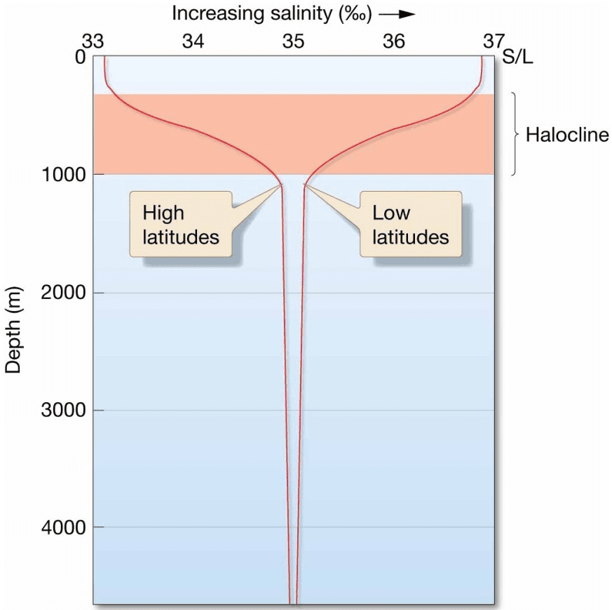 Chapter 5 Water and Seawater Salinity variation with depth.
Graph showing a vertical profile of high- and low-latitude salinity
variation with depth. Horizontal scale is in ‰; vertical
scale is depth in meters, with sea level at the top. The
layer of rapidly changing salinity is called the halocline.