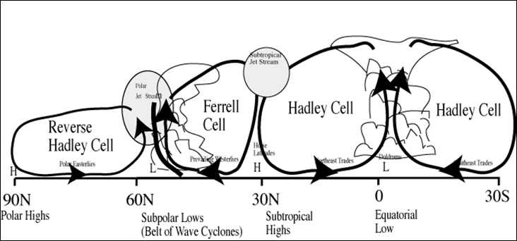 Circulation of the Atmosphere for GSI, CSIR NET, and GATE GG Exam Three-Cell Model of the General Circulation