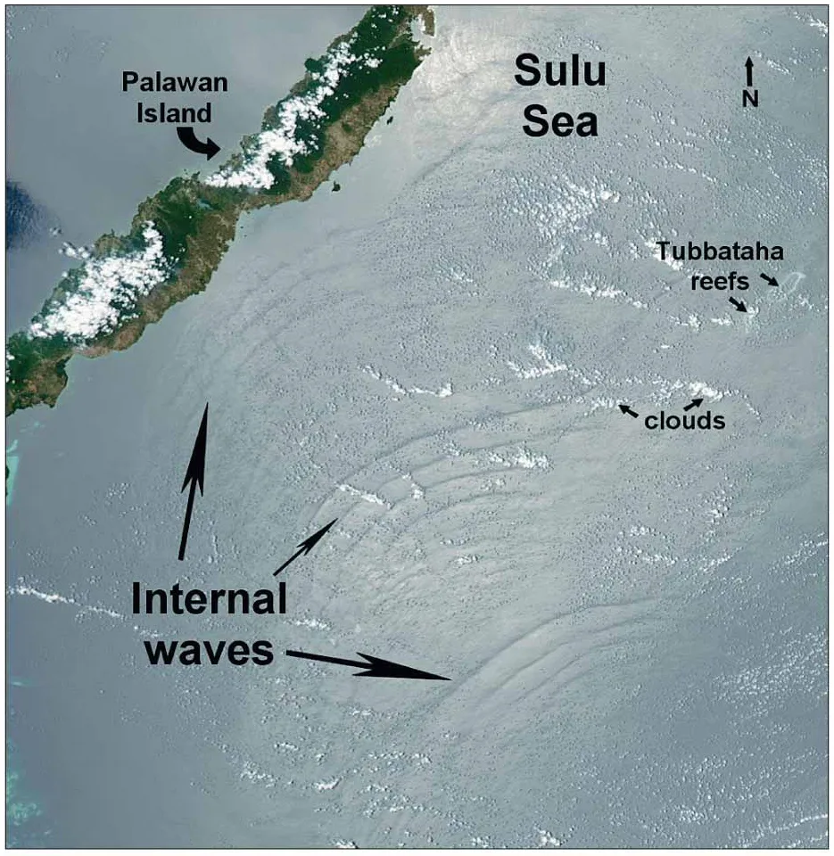 Internal Waves
