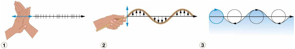 Types of progressive
waves. Diagrammatic view of the
three types of progressive waves.
Examples include 1 longitudinal
waves, 2 transverse waves, and
3 orbital waves.