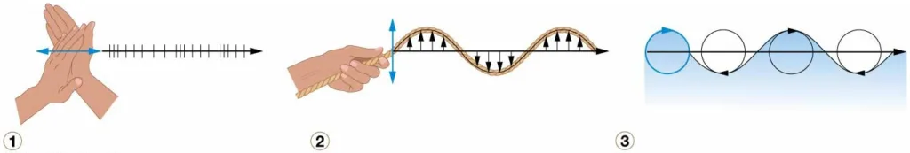 Types of progressive
waves. Diagrammatic view of the
three types of progressive waves.
Examples include 1 longitudinal
waves, 2 transverse waves, and
3 orbital waves.