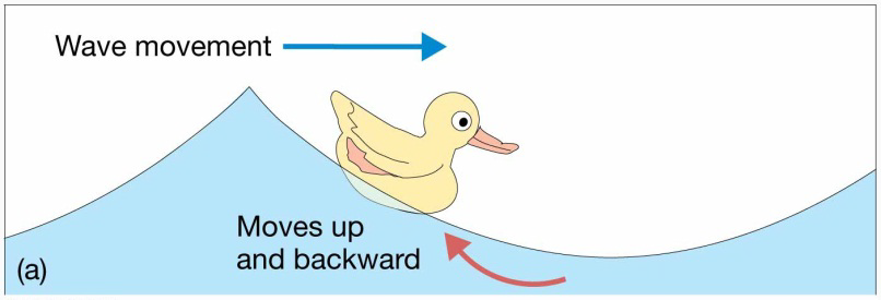 Chapter 8 Lecture Waves and WaterDynamics