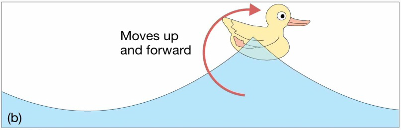Chapter 8 Lecture Waves and WaterDynamics