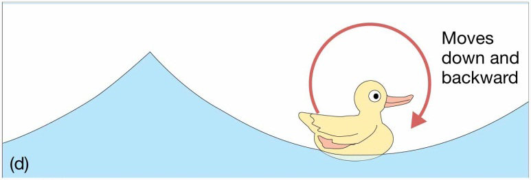 Chapter 8 Lecture Waves and WaterDynamics