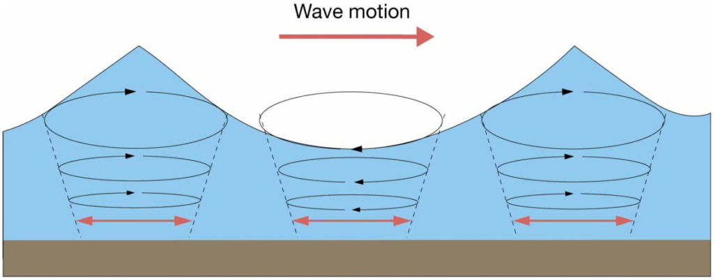 Shallow–water wave: The ocean oor interferes with circular orbital motion,
causing the orbits to become progressively attened. Water depth is less
than 1/20 wavelength.