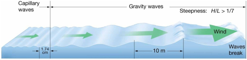 Chapter 8 Lecture Waves and WaterDynamics