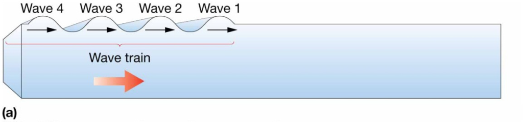 Chapter 8 Lecture Waves and WaterDynamics