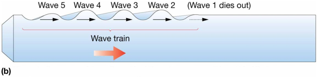 Chapter 8 Lecture Waves and WaterDynamics