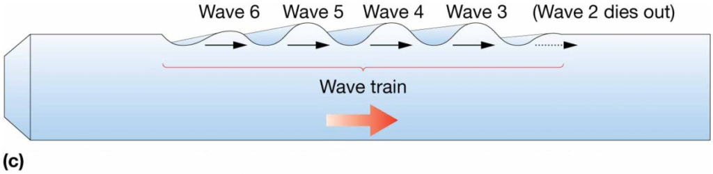 Chapter 8 Lecture Waves and WaterDynamics