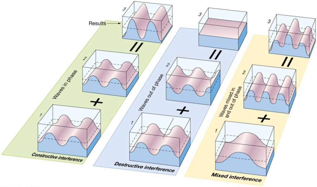 Chapter 8 Lecture Waves and WaterDynamics