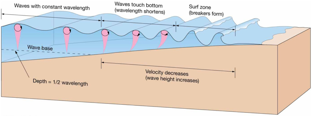Chapter 8 Lecture Waves and WaterDynamics