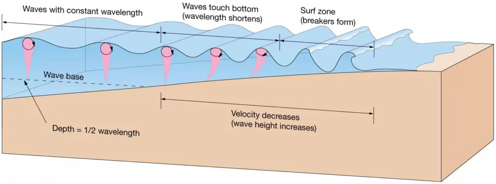 Chapter 8 Lecture Waves and WaterDynamics