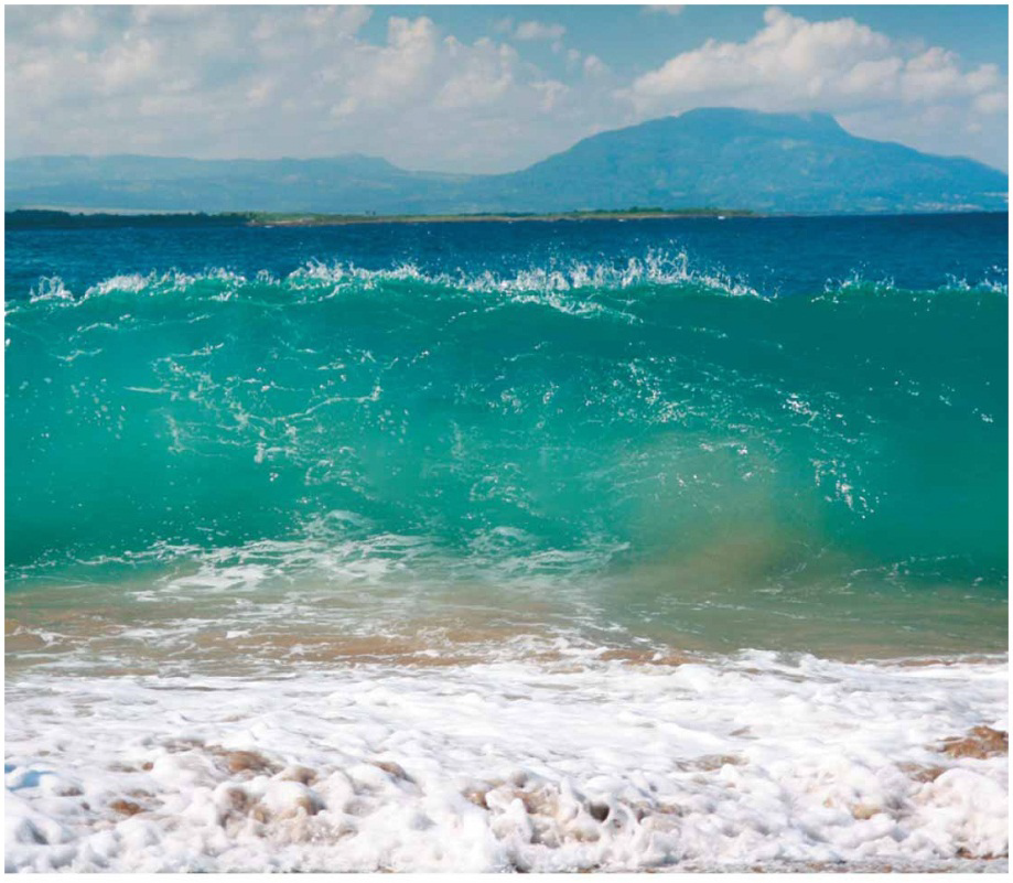  Surging breaker, resulting from an abrupt beach slope