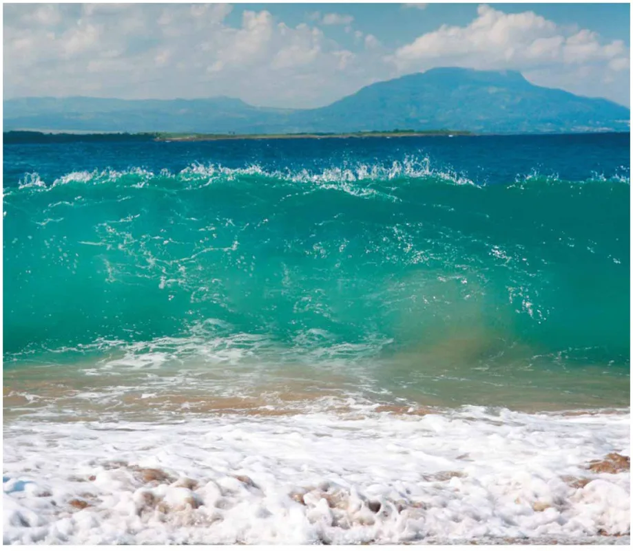  Surging breaker, resulting from an abrupt beach slope