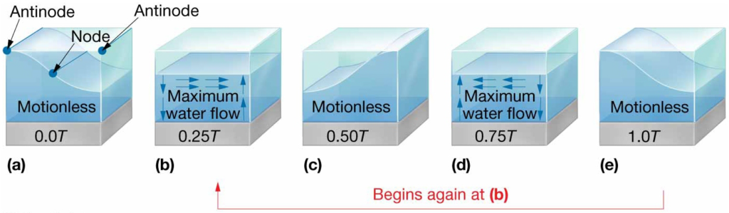 Sequence of motion in a standing wave. I