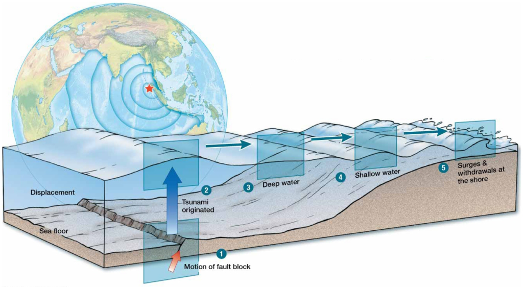  How a tsunami is generated, propagated, and surges to extreme heights at the shore.