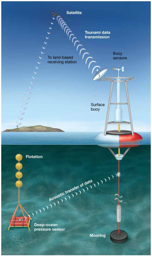 Deep-ocean Assessment and Reporting of
Tsunamis (DART). The DART system consists of a deep-ocean
pressure sensor that can detect a tsunami passing above. The
pressure sensor relays information to a buoy at the surface that
transmits the data via satellite, allowing oceanographers to detect
the passage of a tsunami in the open ocean.