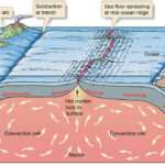 Plate Tectonic Processes